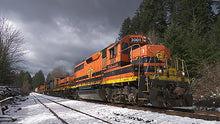 Load image into Gallery viewer, Portland & Western's Toledo Branch Part 1