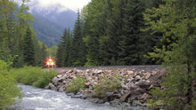 Load image into Gallery viewer, Stevens Pass