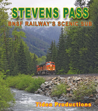 Load image into Gallery viewer, Stevens Pass