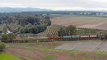 Load image into Gallery viewer, Willamette Valley Main Line