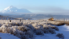 Load image into Gallery viewer, Through the Shadow of Mt. Shasta