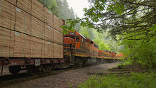 Load image into Gallery viewer, Portland &amp; Western&#39;s Toledo Branch Part 1