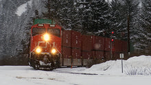 Load image into Gallery viewer, Canada&#39;s Fraser Canyon