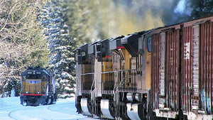 Cascade Snowfighters