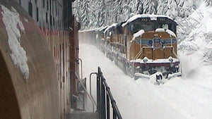 Cascade Snowfighters
