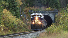 Load image into Gallery viewer, Rogers Pass