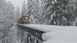 Winter on Stevens Pass