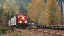 Load image into Gallery viewer, Rogers Pass