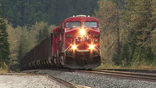 Load image into Gallery viewer, Rogers Pass