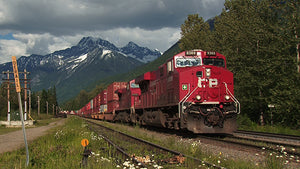 Rogers Pass