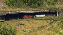 Load image into Gallery viewer, Rogers Pass
