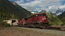Load image into Gallery viewer, Rogers Pass