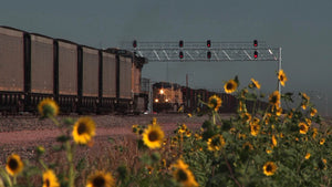 Coal Trains of the Powder River Basin